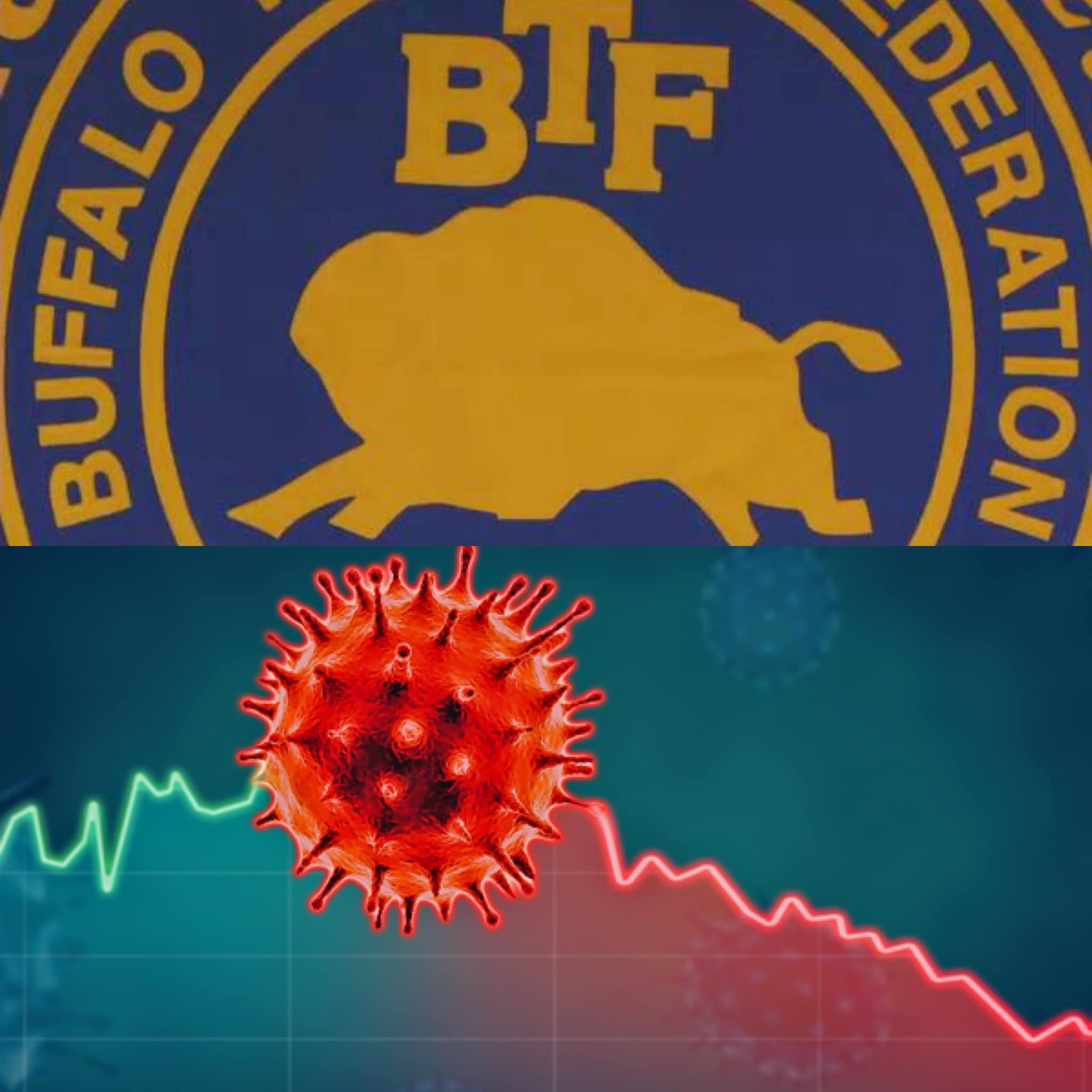 “We Must Ensure They, Their Parents, Staff And Community Are And Remain Safe” - The Buffalo Teachers Federation Calls For A District Delineation, Distribution, Posting And Enforcement Of COVID Protocols 
