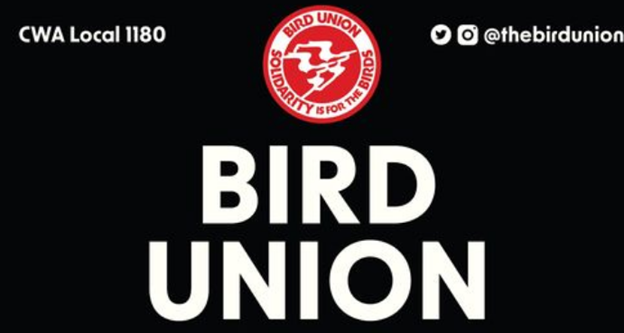 National Audubon Society Workers Announce Three-Day Unfair Labor Practice Strike ‘Amid Continued Union-Busting & Discrimination’