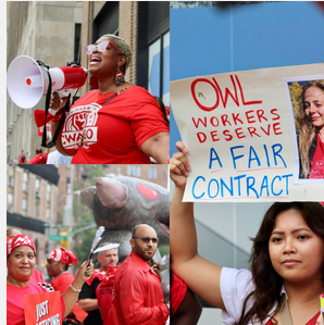 ‘Enough Is Enough!’ - Bird Union Members Hold Practice Picket For A Fair Contract