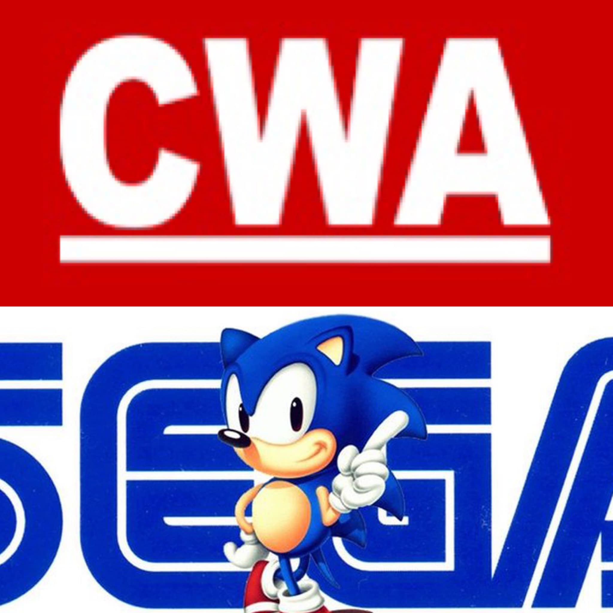 Communications Workers Of America-Represented Workers Employed At SEGA Of America ‘Become The First Major Video Game Company In The Nation To Get A Union Contract’ 