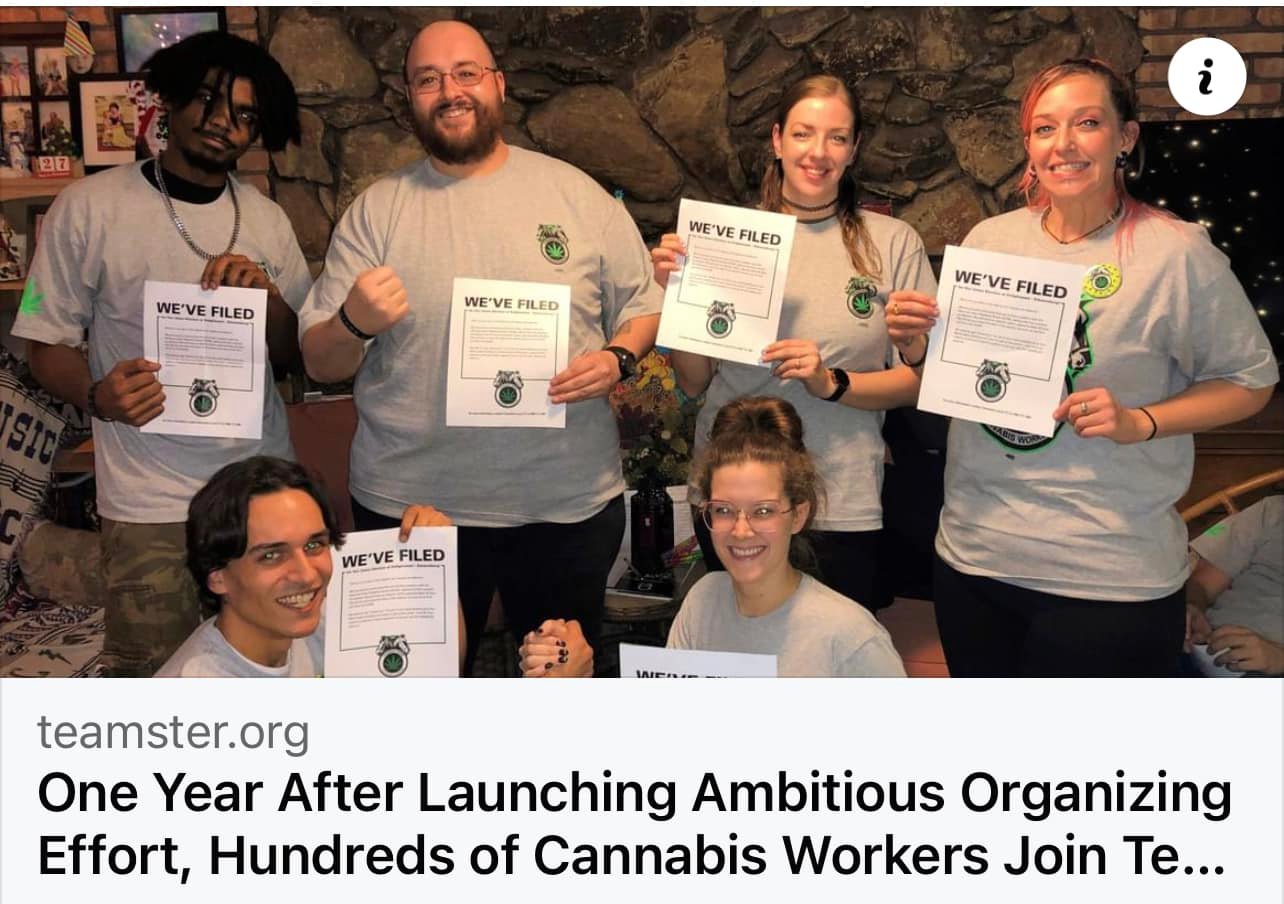 One Year After ‘Launching An Ambitious’ Organizing Effort, Hundreds Of Cannabis Workers Join The Teamsters Union