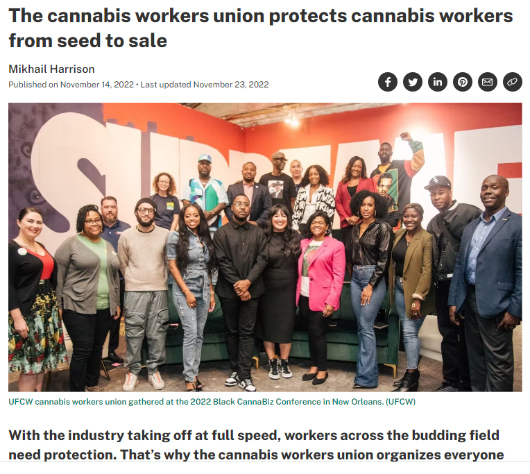 Cannabis Workers Union ‘Protects’ Cannabis Workers ‘From Seed To Sale’