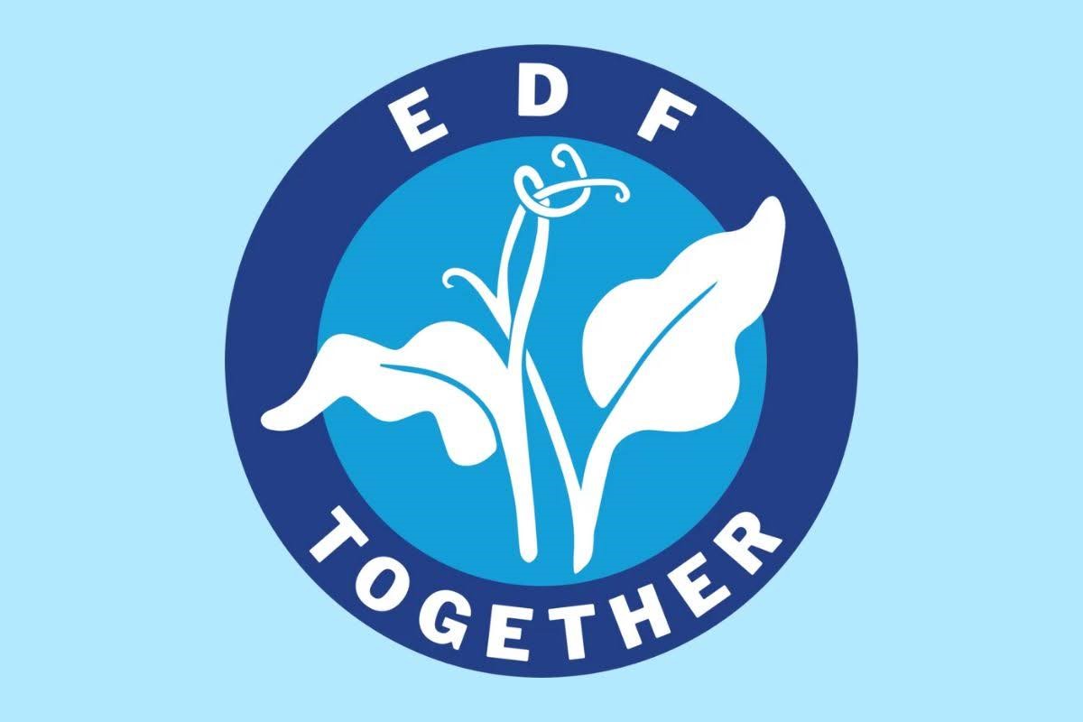 Workers Employed At The Environmental Defense Fund - The Largest Green Non-Profit Union, Seek To ‘Go Union’