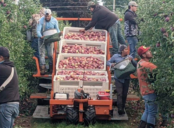 Farmers Say Overtime Mandate ‘Would Weaken’ New York Agriculture