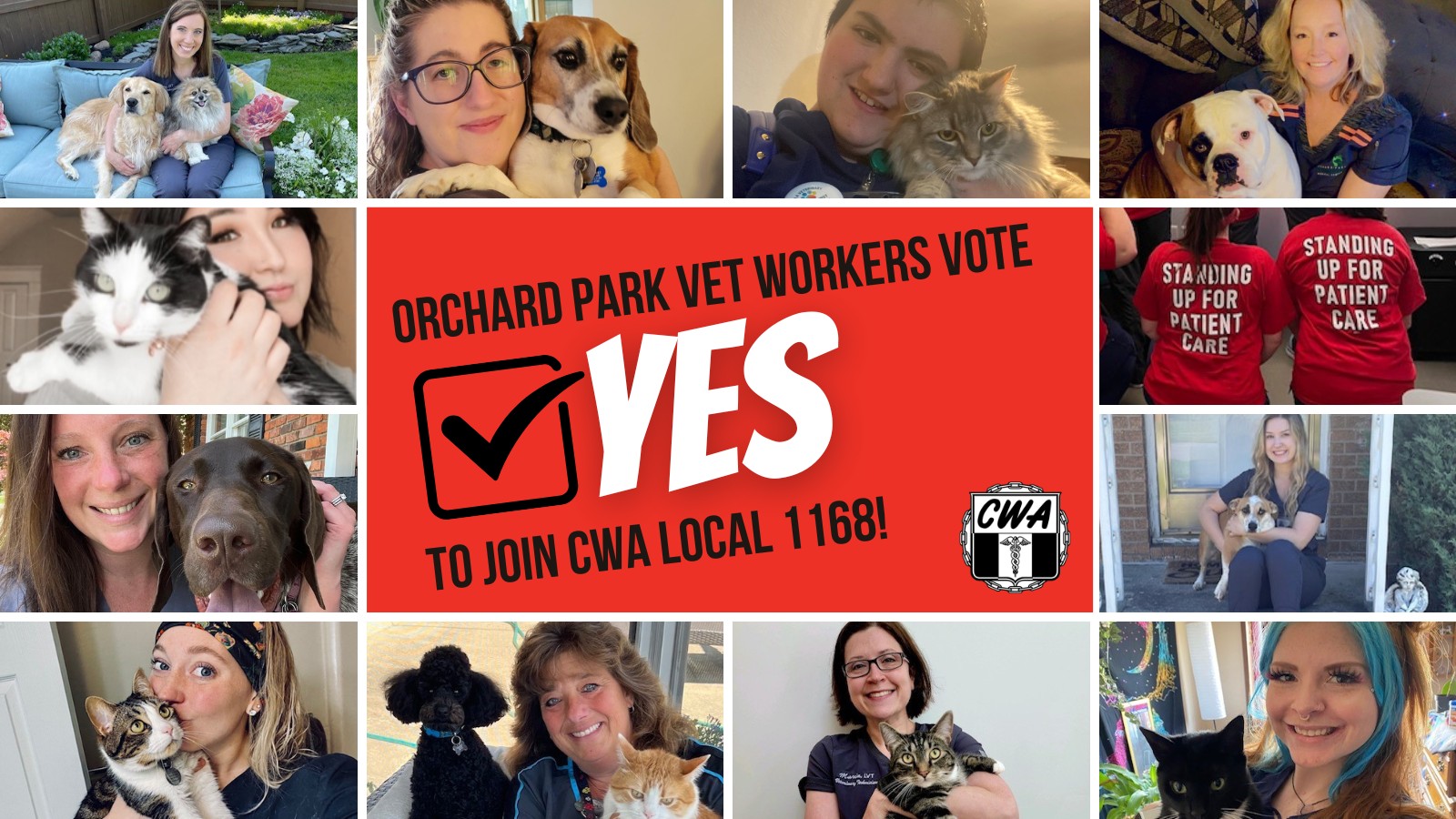 140 Orchard Park Veterinary Medical Center Workers Vote To ‘Go Union’ With CWA Local 1168, ‘Become The First’ Veterinary Center In The Buffalo Area To Unionize