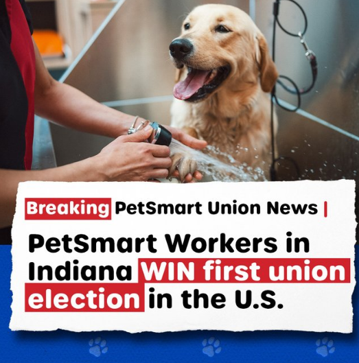 Indiana PetSmart Workers ‘Win First Union For Chain In The U.S.’