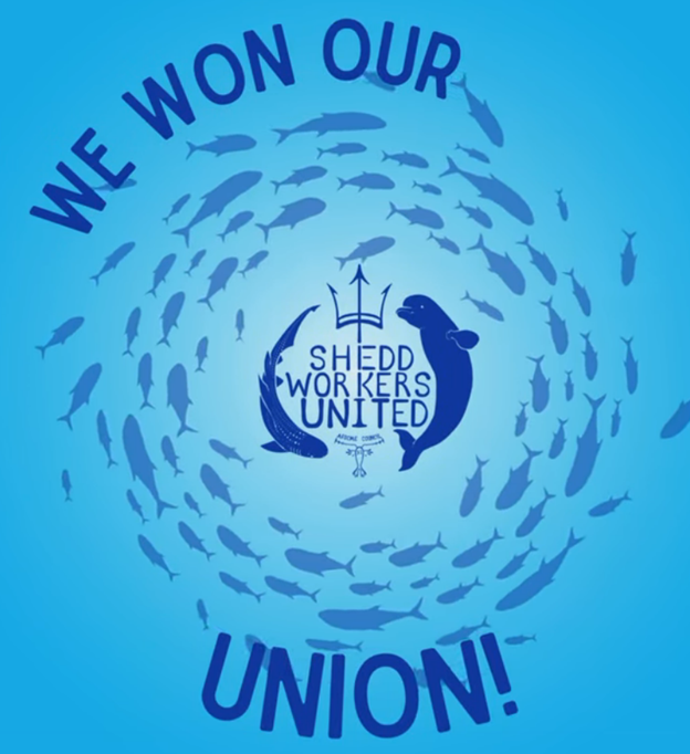 Workers At Chicago’s Shedd Aquarium ‘Go Union,’ Vote To Join AFSCME Council 31