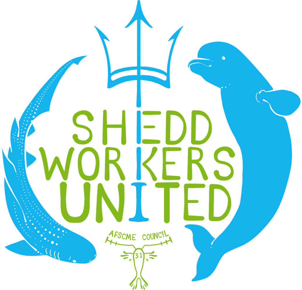 Shedd Aquarium Workers In Chicago Are ‘Going Union’ With AFSCME