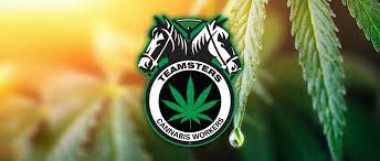 Cannabis Workers Employed At Nabis Warehouse In California ‘Go Union,’ Join Teamsters - Third Cannabis Group To Join Teamsters ‘In Less Than A Month’