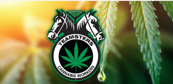 Sunnyside Cannabis Workers In River North ‘Go Union,’ Join Teamsters