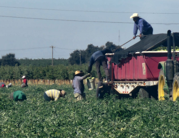 “All Workers Need This Protection, Not Just Those In A Union.” - Workers ‘Overwhelmingly Back’ OSHA’s Proposed Heat Protections